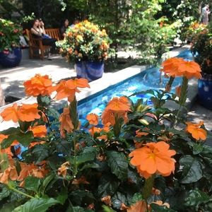 Meet your Posher, Sofia